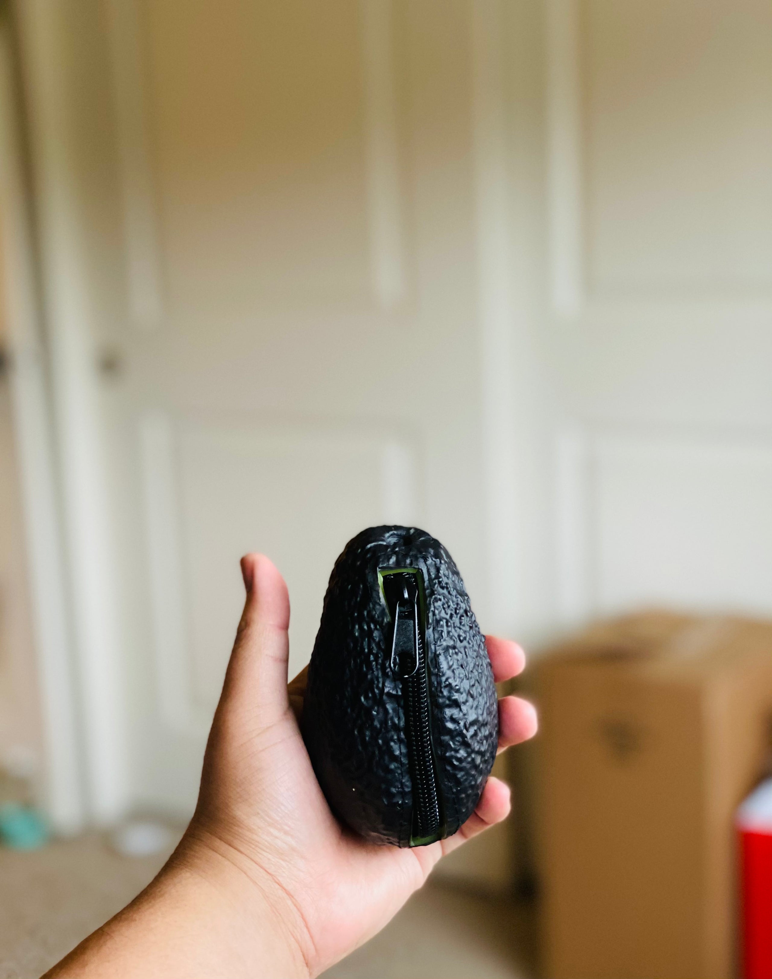 Avocado coin online pouch